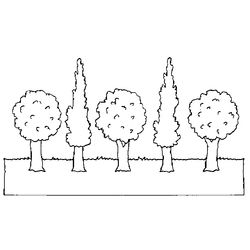 Árbol #27074