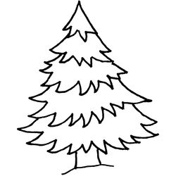 Árbol #27078