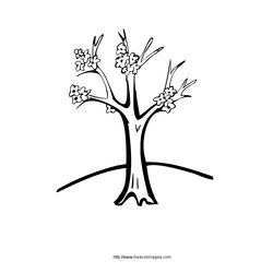 Árbol #27079