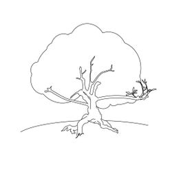 Árbol #27082