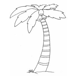 Árbol #27084