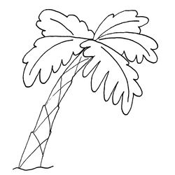 Árbol #27085