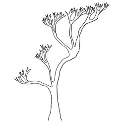 Árbol #27091