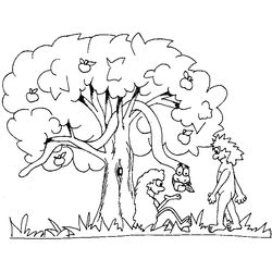 Árbol #27094