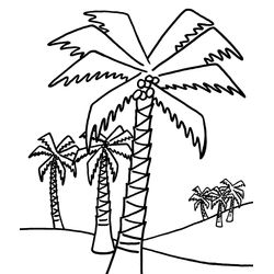 Árbol #27095