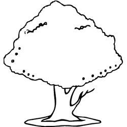 Árbol #27103