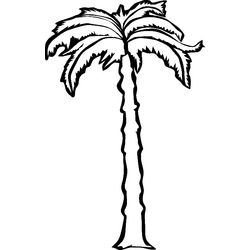 Árbol #27115