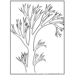Árbol #27117