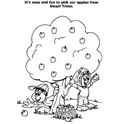 Árbol #27118