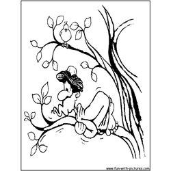 Árbol #27121