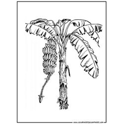 Árbol #27125