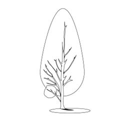 Árbol #27128