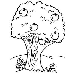 Árbol #26957