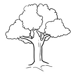 Árbol #26959