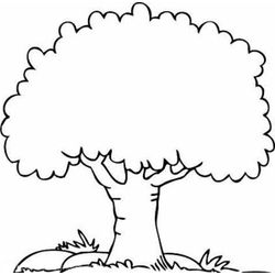 Árbol #26960