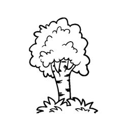 Árbol #26962