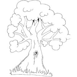 Árbol #26964