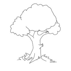Árbol #26966
