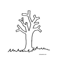 Árbol #26968