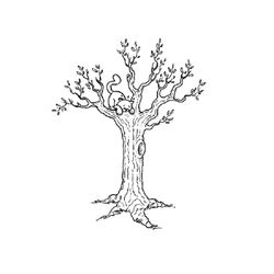 Árbol #26976