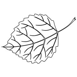 Árbol #26979