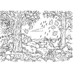 Bosque #27186