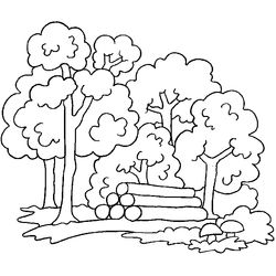 Bosque #27187