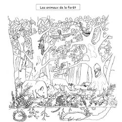 Bosque #27196