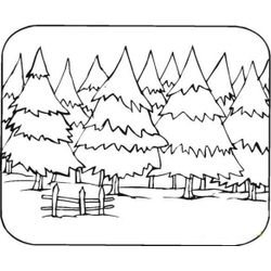 Bosque #27202