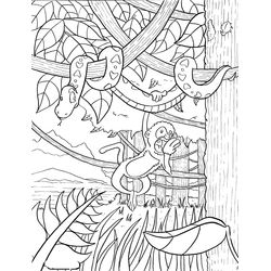 Bosque #27206