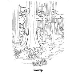 Bosque #27216