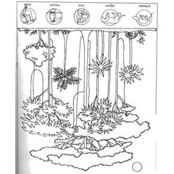 Bosque #27221