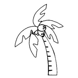 Cocotero #27301