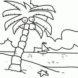 Cocotero #27302