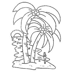 Cocotero #27304