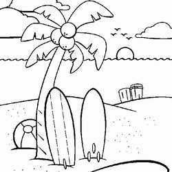Cocotero #27305