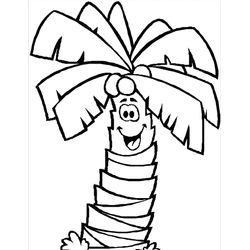 Cocotero #27308