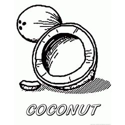 Cocotero #27317