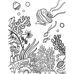 Coral #27494