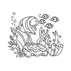 Coral #27504