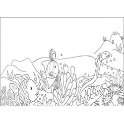 Coral #27517