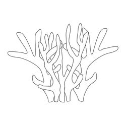 Coral #27525