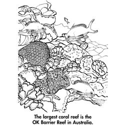 Coral #27529