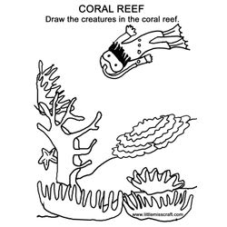 Coral #27532
