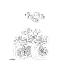 Coral #27549