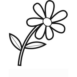 Flores #27617