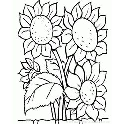 Flores #27618