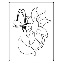 Flores #27620