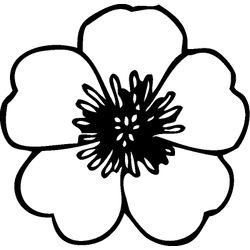 Flores #27623