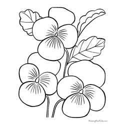 Flores #27625